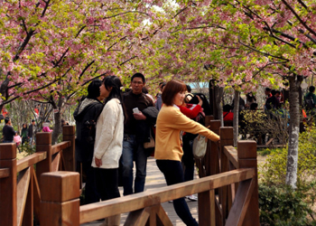 恣雅保潔團隊顧村公園游玩